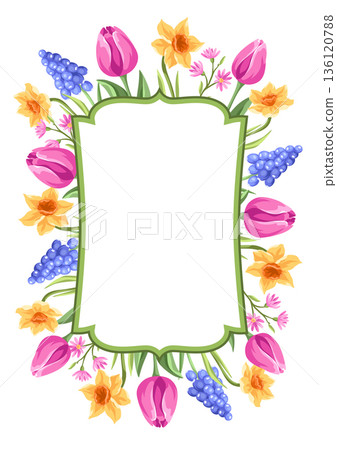 Decorative background with flowers. Spring muscari, tulip and narcissus. Beautiful realistic flowers, buds and leaves. 136120788