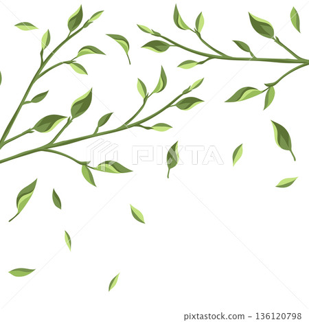 Background with leaves. Spring or summer stylized foliage. Background with leaves. Spring or summer stylized foliage. 136120798