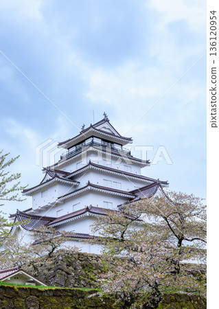 Tsuruga Castle with cherry blossoms in full bloom (Aizuwakamatsu City, Fukushima Prefecture) Tsuruga Castle with cherry blossoms in full bloom (Aizuwakamatsu City, Fukushima Prefecture) 136120954
