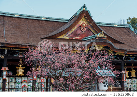 京都北野天滿宮 京都北野天滿宮 136120968