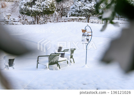 Quiet winter garden bench at Gifu World Rose Garden covered in snow Quiet winter garden bench at Gifu World Rose Garden covered in snow 136121026