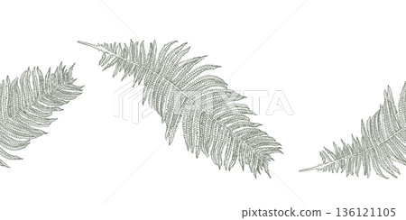 Fern leaf vector outline seamless border isolated. Botanical wavy tropical pattern for decorative design. Jungle foliage monochrome repeat background for natural textile, packaging. 136121105
