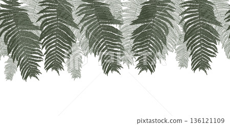 Fern leaf horizontal repeat vector outline. Green seamless border of palm leaves design for natural background. Monochrome botanical art for print and textile. Pteridophyte endless drawing on banner. Fern leaf horizontal repeat vector outline. Green seamless border of palm leaves design for natural background. Monochrome botanical art for print and textile. Pteridophyte endless drawing on banner. 136121109