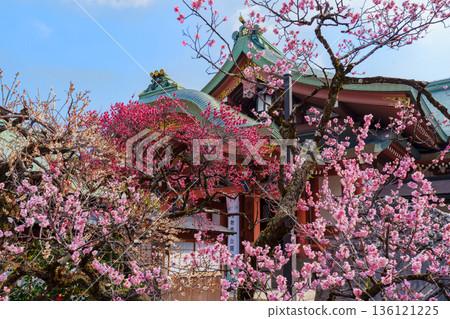 京都北野天滿宮寶物博物館 京都北野天滿宮寶物博物館 136121225