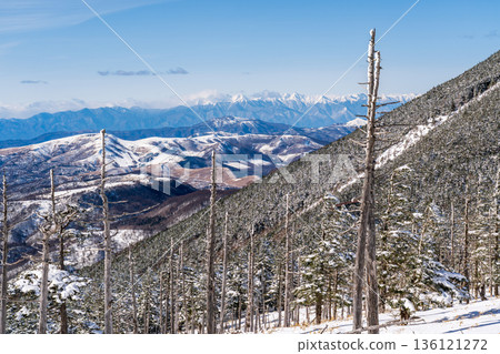 在白雪皚皚的北八嶽山脈進行雪地健行 136121272