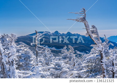 從白雪皚皚的北橫岳眺望八岳群山。 136121325