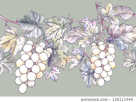 Seamless vector pattern with ripe grape Seamless vector pattern with ripe grape 136121449