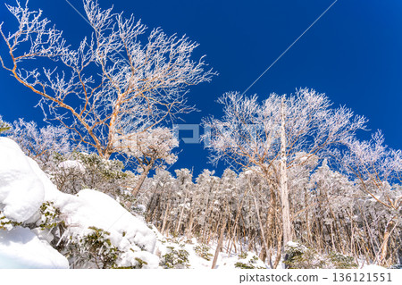 攀登八嶽山脈的北代小岳 136121551