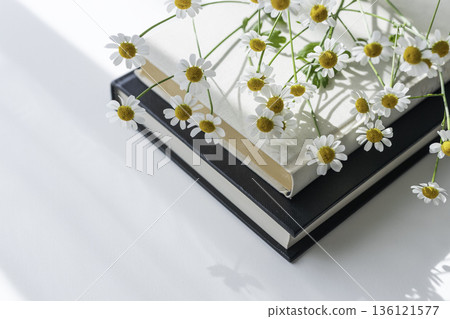 散落在書上的母菊和春光 136121577
