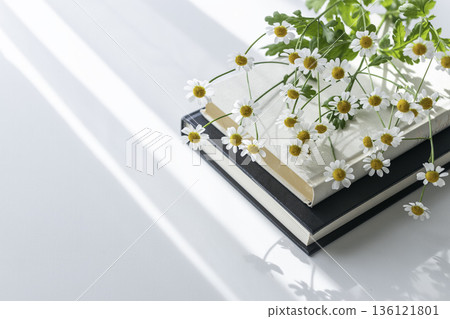 白色背景上的留白：堆疊的書和小小的母菊；自然春光 136121801