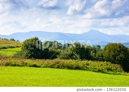 rural landscape in carpathian mountains on a sunny day. green grass on rolling hill and distant peak under cloudy sky in early autumn. countryside scenery of ukraine. alpine pasture of transcarpathia 136122038