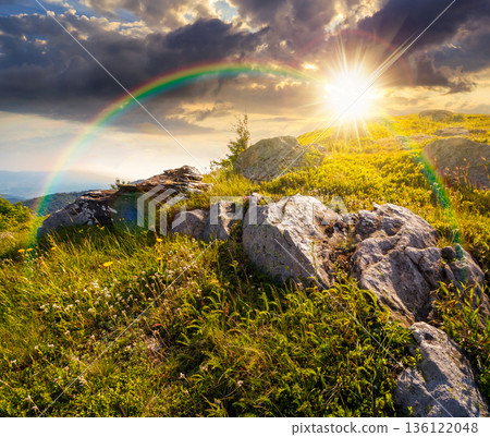 mountain landscape in summer at sunset. alpine scenery with steep grassy slope under blue sky in evening light. beautiful view of coniferous tree near rock among lush green grass. remote place 136122048