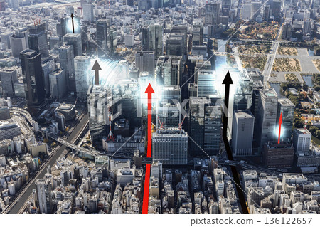 Tokyo aerial view: Image of economic development 136122657