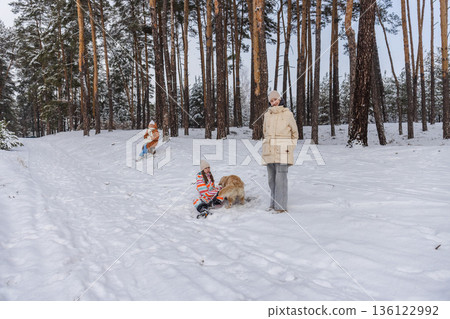 Teenager and adult woman relaxing with Golden Retriever dog in snowy pine forest during winter family outdoor walk and peaceful nature leisure Teenager and adult woman relaxing with Golden Retriever dog in snowy pine forest during winter family outdoor walk and peaceful nature leisure 136122992