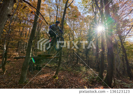 Mountain Biker Jumping Over Log in Autumn Forest with Sunburst Light and Action 136123123