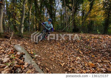 Autumn Mountain Biker Navigates Leaf-Litter Trail Through Sunlit Dense Forest 136123137