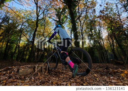 Autumn Forest Mountain Biking Adventure On Leafy Trail In Dappled Sunlight Autumn Forest Mountain Biking Adventure On Leafy Trail In Dappled Sunlight 136123141