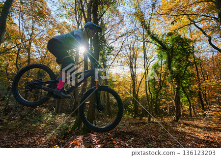 Colorful Autumn Mountain Biker Jumping Over Leaf Litter on a Sunlit Forest Trail Adventure Colorful Autumn Mountain Biker Jumping Over Leaf Litter on a Sunlit Forest Trail Adventure 136123203