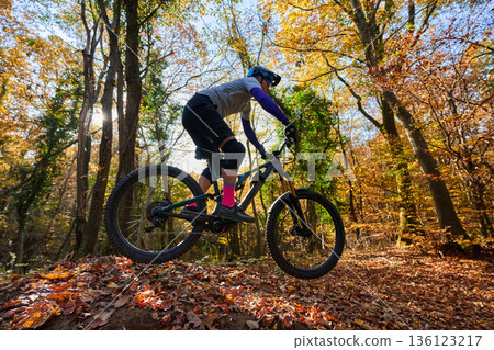 Autumn Mountain Biker Rides Through Colorful Forest Trail Amid Falling Leaves 136123217