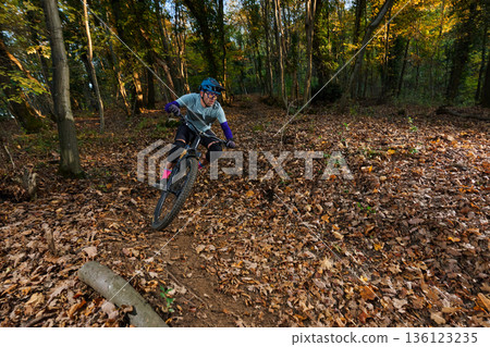 Mountain Biker Navigates Leaf-Covered Forest Trail in Autumn Sunlight 136123235