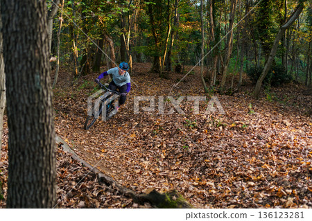 Mountain Bike Rider Navigates Forest Trail Amid Autumn Leaves in Sunlit Woods During Dramatic Turn 136123281