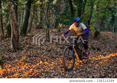Mountain Biker Rides Through Autumn Forest Trail With Helmet and Protective Gear 136123284