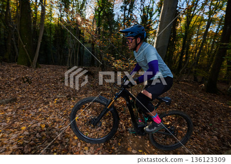 Man Mountain Biking Through Autumn Forest Trail in Protective Gear and Helmet at Sunlit Moment Man Mountain Biking Through Autumn Forest Trail in Protective Gear and Helmet at Sunlit Moment 136123309