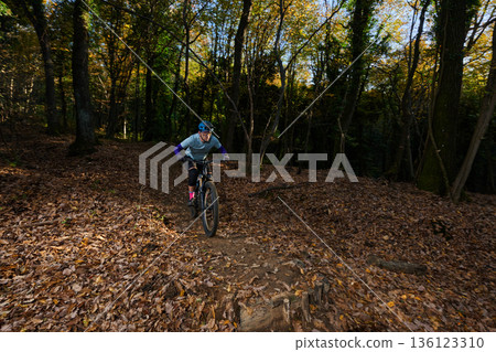 Autumn Mountain Biking Through Leafy Forest Trail With Focused Rider On Mountain Bike 136123310