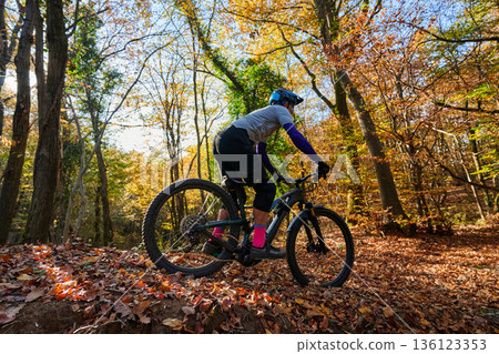 Autumn Mountain Biker Navigates Colorful Forest Trail Amid Fall Leaves, Sunlit Adventure Autumn Mountain Biker Navigates Colorful Forest Trail Amid Fall Leaves, Sunlit Adventure 136123353
