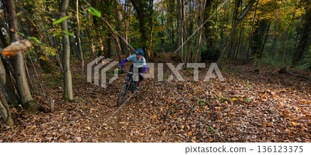 Mountain Biker Rides Through Leafy Forest Trail During Autumn Adventure in Sunlit Fall Colors Mountain Biker Rides Through Leafy Forest Trail During Autumn Adventure in Sunlit Fall Colors 136123375