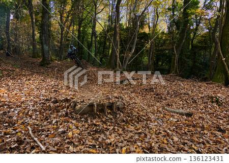 Autumn Mountain Biker Navigates Leaf-Covered Forest Trail On Quiet Fall Day Through Dense Woodland Paths Autumn Mountain Biker Navigates Leaf-Covered Forest Trail On Quiet Fall Day Through Dense Woodland Paths 136123431