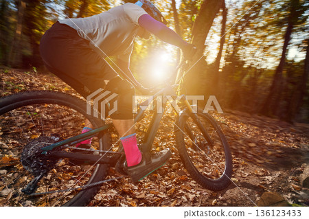 Mountain Biker Riding Through Autumn Forest at Sunset, Wearing Bright Pink Socks and Helmet Mountain Biker Riding Through Autumn Forest at Sunset, Wearing Bright Pink Socks and Helmet 136123433