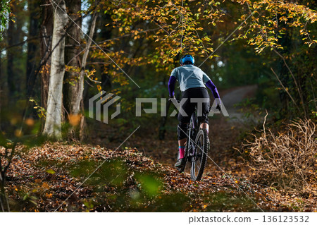 Mountain Biker Traverses Autumn Forest Trail in Gear, Determination, and Golden Leaves Mountain Biker Traverses Autumn Forest Trail in Gear, Determination, and Golden Leaves 136123532