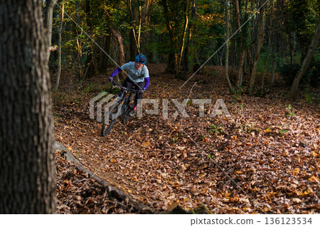 Mountain Biker Navigates Leaf-Litter Forest Trail On Rugged Autumn Ride, Sunlit Path 136123534