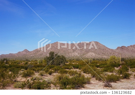 Film Image Sonora Desert Arizona 136123682