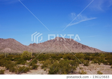 Film Image Sonora Desert Arizona 136123683