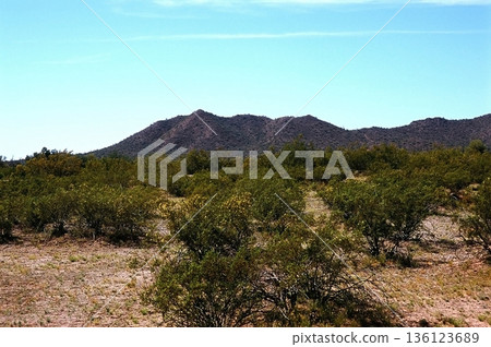 Film Image Sonora Desert Arizona 136123689