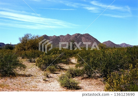Film Image Sonora Desert Arizona 136123690