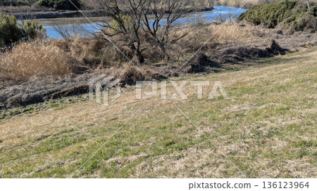 Ogawa River 136123964
