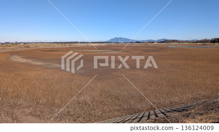 Kokai River Fukuoka Weir 136124009