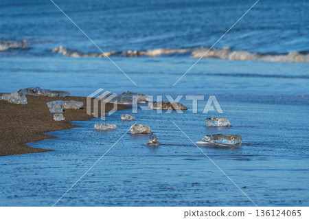 日本北海道十勝川河口大津海岸衝上來的珠寶冰塊。 136124065