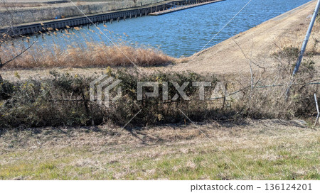 crescent lake crescent lake 136124201