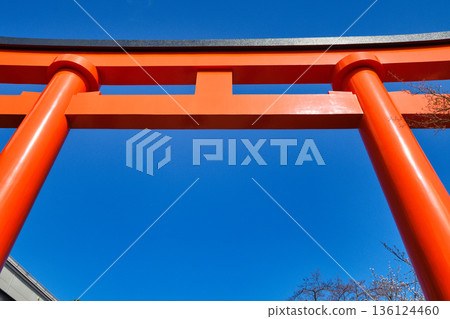 Kyoto's Fushimi Inari Taisha Shrine: A beautiful vermilion torii gate shining against the blue sky (Fushimi Ward, Kyoto City, Kyoto Prefecture) Kyoto's Fushimi Inari Taisha Shrine: A beautiful vermilion torii gate shining against the blue sky (Fushimi Ward, Kyoto City, Kyoto Prefecture) 136124460
