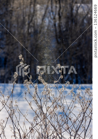 Sun pillars and diamond dust appear in the snowy fields: a natural phenomenon in Minamifurano, Hokkaido 136124669