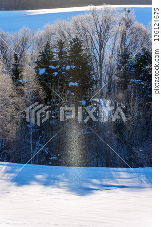 Sun pillars and diamond dust appear in the snowy fields: a natural phenomenon in Minamifurano, Hokkaido 136124675