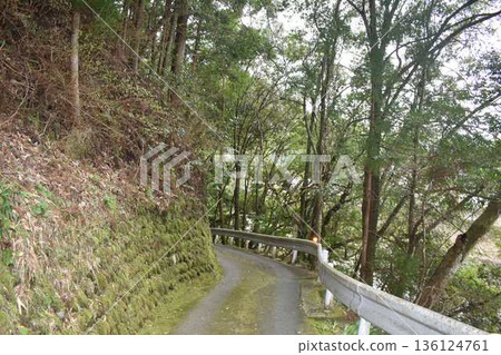 Lush green road Lush green road 136124761