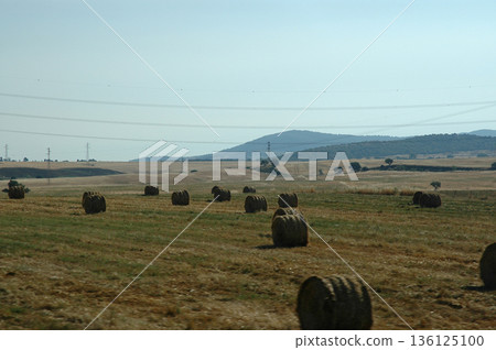 straw rolls from the leftover part of the wheat harvest 136125100