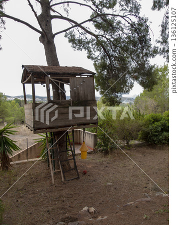 wooden house built high in a pine log wooden house built high in a pine log 136125107