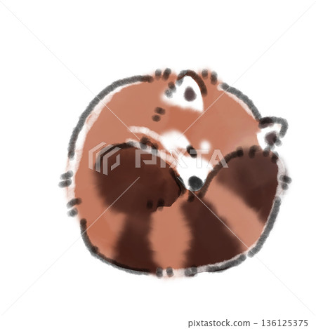 水彩插畫,描繪了一隻蜷縮著睡覺的小紅熊貓。非常適合用來表現睡眠和休息的主題。 水彩插畫,描繪了一隻蜷縮著睡覺的小紅熊貓。非常適合用來表現睡眠和休息的主題。 136125375