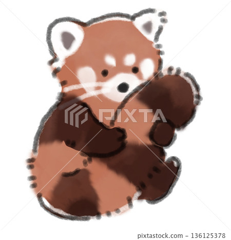 A watercolor illustration of a baby red panda sitting on its back. Perfect for zoo guides and pet-related websites. 136125378